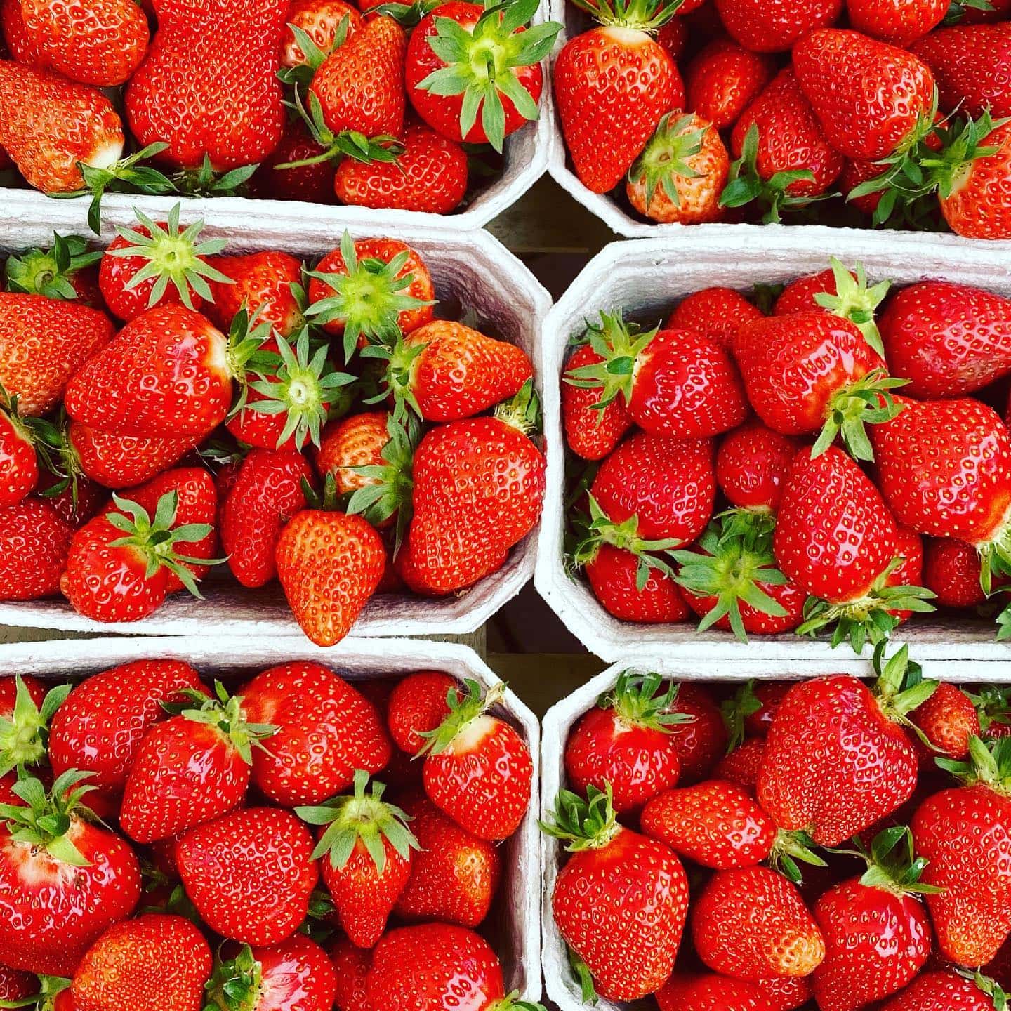 frsiche Erdbeeren bei Gemüsebau Glaser