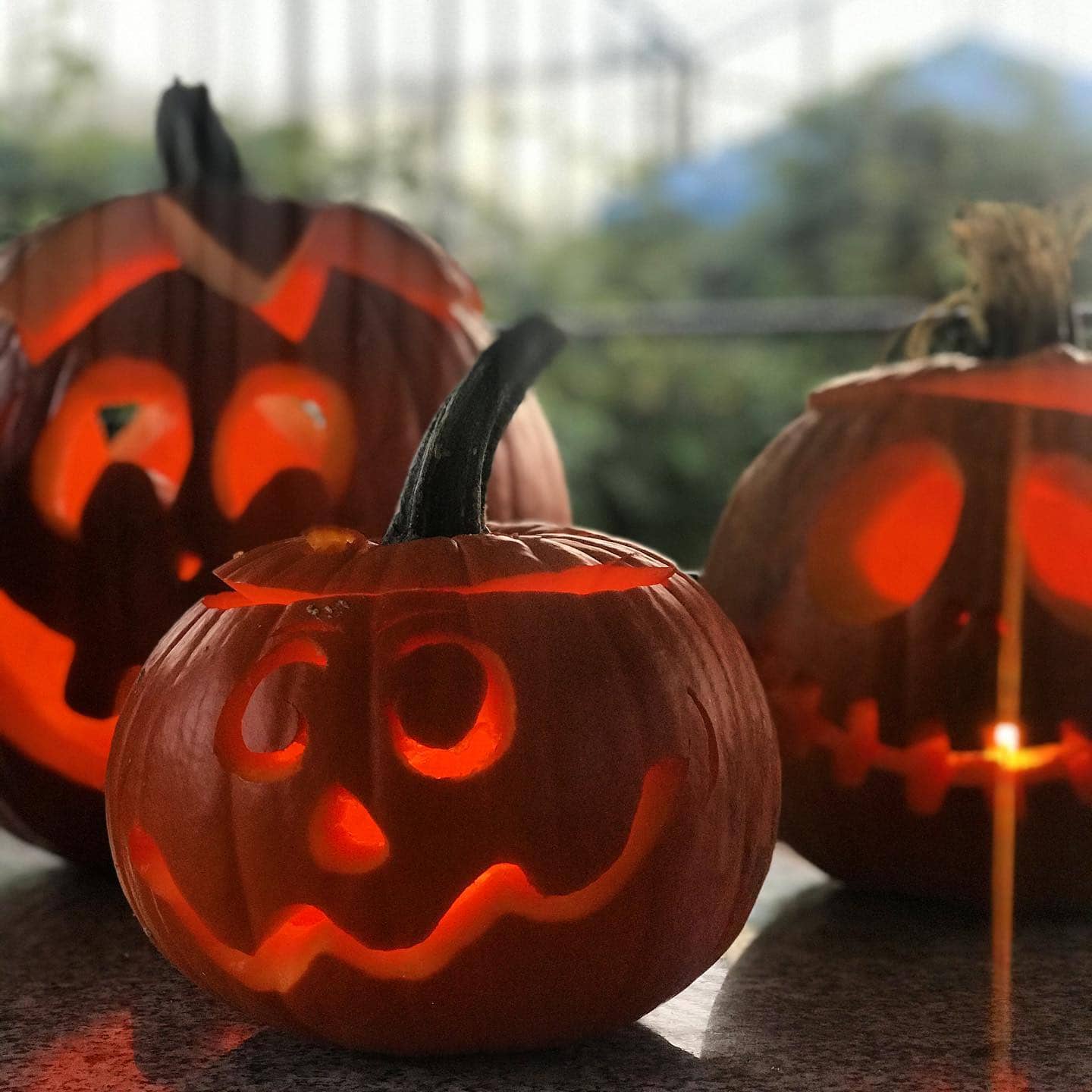 Helloween Kürbis Gemüsebau Glaser